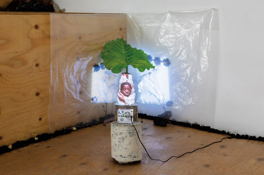 Eve Tagny, <em>We weight on the land - Legacy</em>, 2019. Alocasia, concrete block, flowers, soil, stones, gold leaf, polytarp, unfired clay pot and video projection, dimensions variable. Courtesy Cooper Cole.