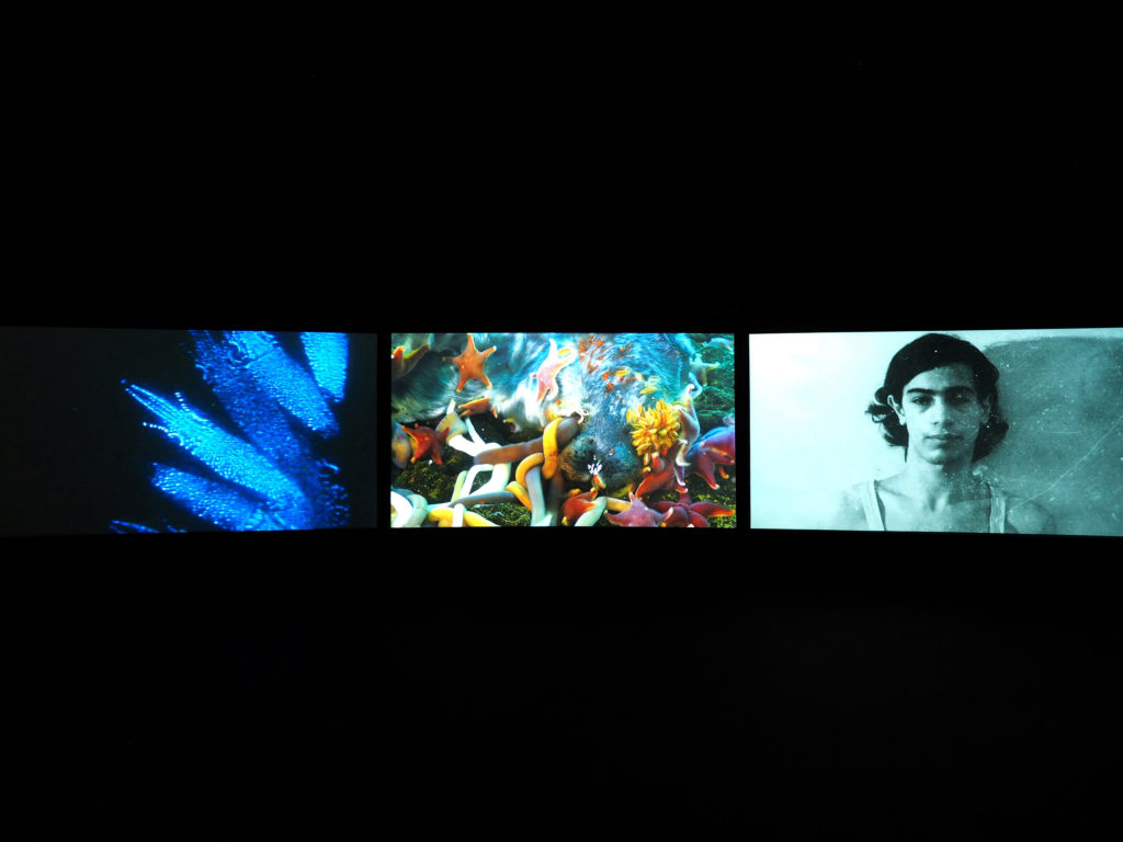 John Akomfrah, <em>Vertigo Sea</em>, 2015. Three-channel HD colour video installation, 7.1 sound, 48 minutes 30 seconds. Collection of the National Gallery of Canada.
