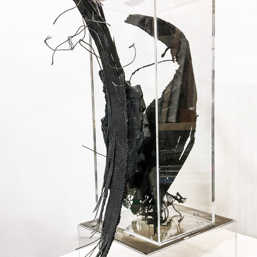 Joyce Westrop, Exposed and Contained: Risk and Denial III, 2019. Rubber, steel, acrylic and plexiglass, 17"x8"x7"