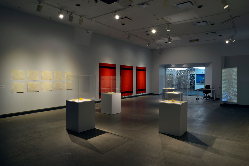 Installation view of Hannah Claus, “trade – treaty – territory,”
Dunlop Art Gallery, 2020.
