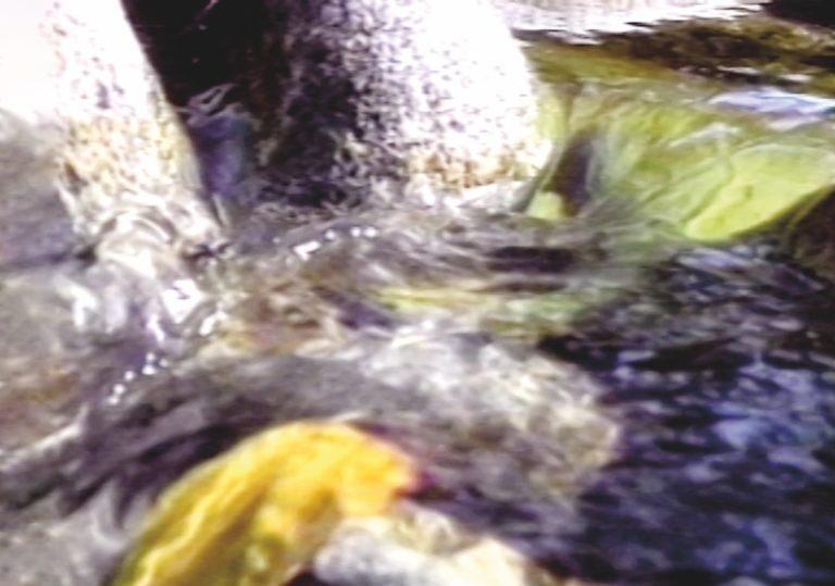 Zachery Longboy, <em>Water Into Fire</em> (still), 1994. SD video, 10 minutes 30 seconds. Courtesy Vtape.