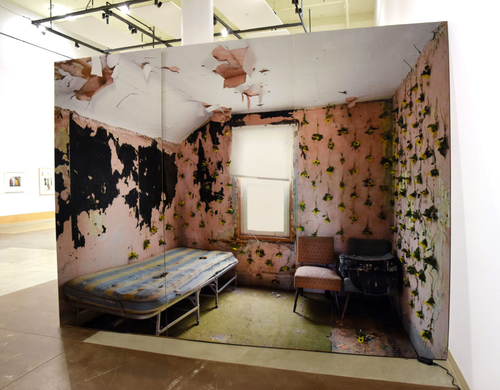 Emily Neufeld, <em>Prairie Invasions: A Lullaby</em>, 2020. Photographic wall, 2.4 x 3.2 m.