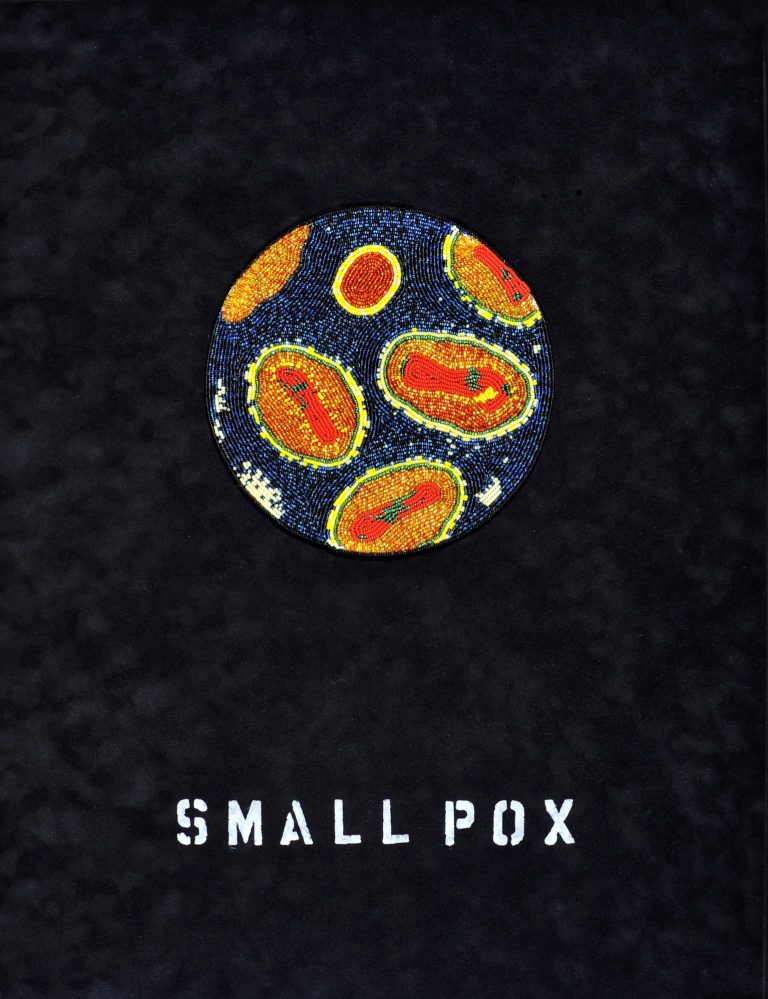 Ruth Cuthand, <em>Smallpox</em>, 2009. Beads and acrylic on suedeboard, 61 x 45.7 cm. 
