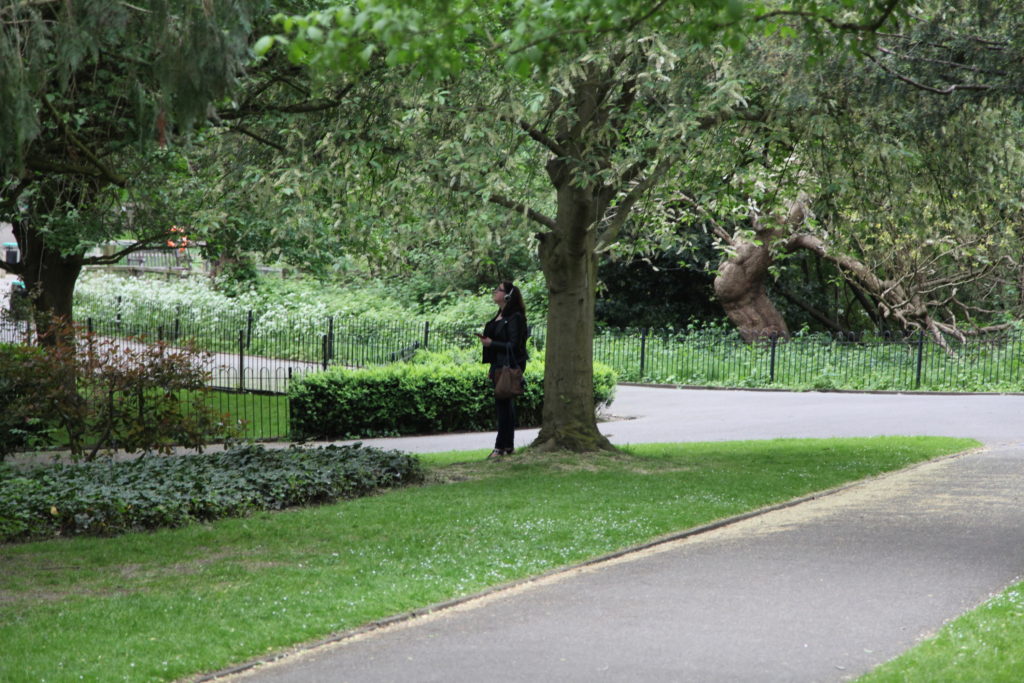 Benny Nemerofsky Ramsay, <em>Trees Are Fags</em> (documentation), Waterlow Park, London, UK, 2018. Commissioned by LUX and CRUSEV. Photo: Ed Twaddle.