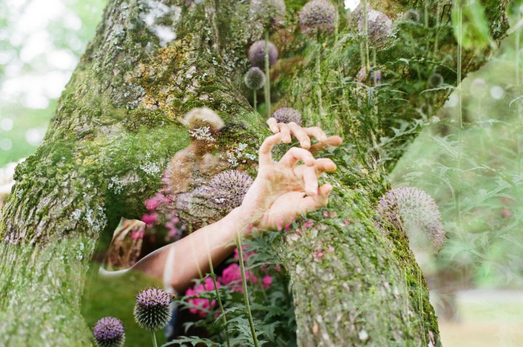 Alexa Bunnell, <em>Ollie and Sofie caught fingering flowers and loving a tree</em>, Halifax Public Gardens, 2019. Digital scan of 35mm film.