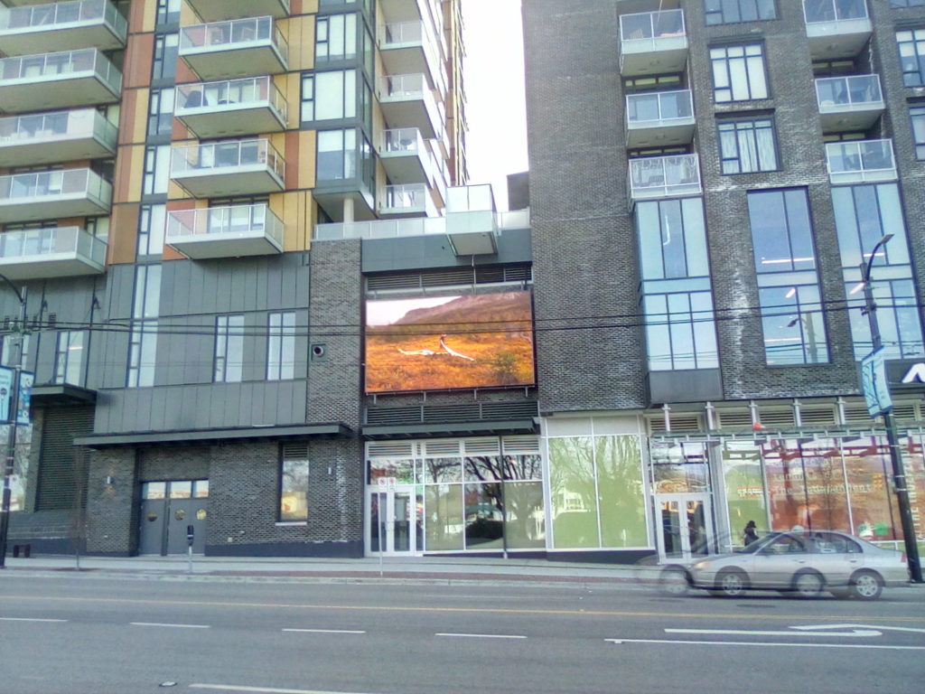 Artist Meagan Musseau’s work <em>becomes body of water interwoven with territories beyond the sky</em> (2020) on the Mount Pleasant Community Art Screen—a public-art site grunt gallery has been leveraging more since its main-space shutdown. Photo: Sebnem Ozpeta.