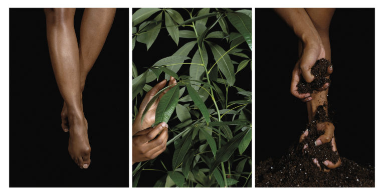 Farihah Aliyah Shah, (from left) <em>Untitled (legs)</em>, <em>Laden Hands</em> and Untitled (Roots)</em> (from the series Billie Said, 'Strange Fruit'), 2017. Archival digital prints, 99 x 66 cm each.