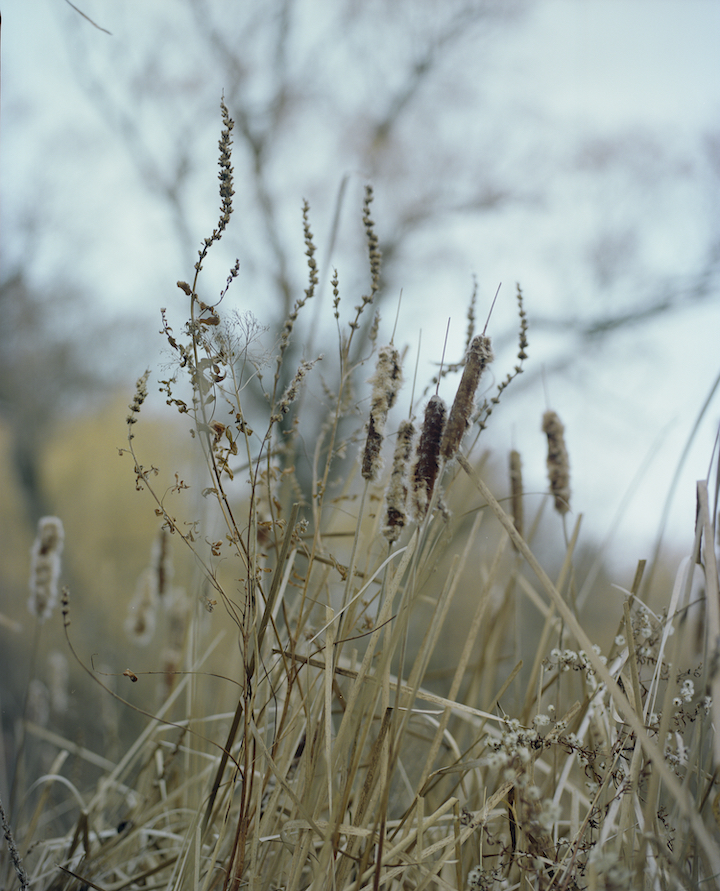 S*an D. Henry-Smith, <em>windsplit</em>, 2019. Photograph, dimensions variable.