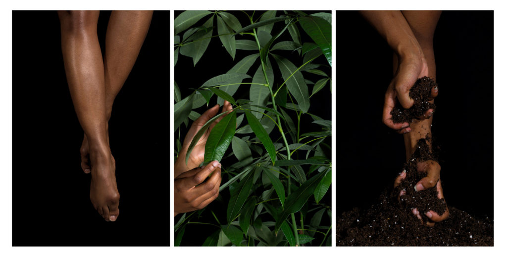 Farihah Aliyah Shah, (from left) <em>Untitled (Legs)</em>, <em>Laden Hands</em> and <em>Untitled (Roots)</em> (from the series <em>Billie Said, ‘Strange Fruit’</em>), 2017. Archival digital prints, 99 x 66 cm each.