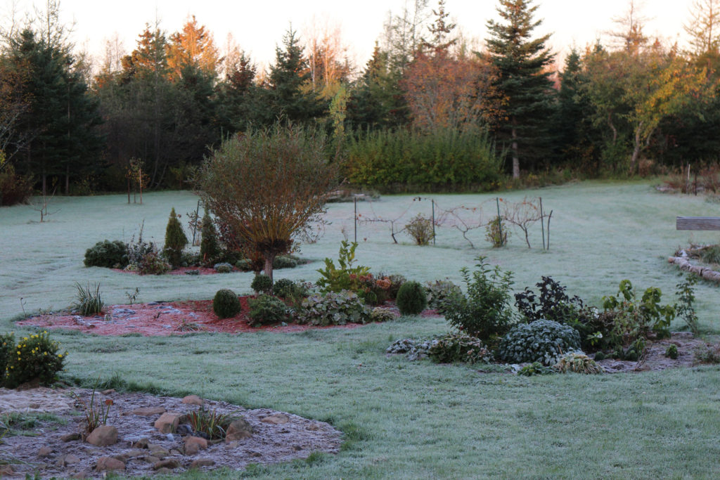 Anna Torma’s garden, Baie Verte, New Brunswick, fall 2019.