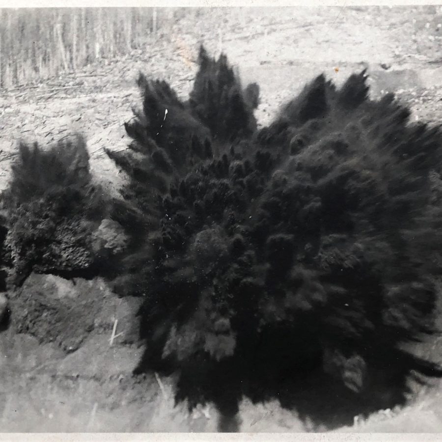 Corbin Union, 'Black Powder Shot', Corbin, BC, circa 1914, Big Showing Mine documentation photograph, photographer unknown