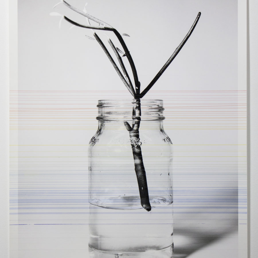 Futures Barren Film Still: II by April Dean. Inkjet print and screen print, 36 x 24", 2021. Courtesy of the artist.
