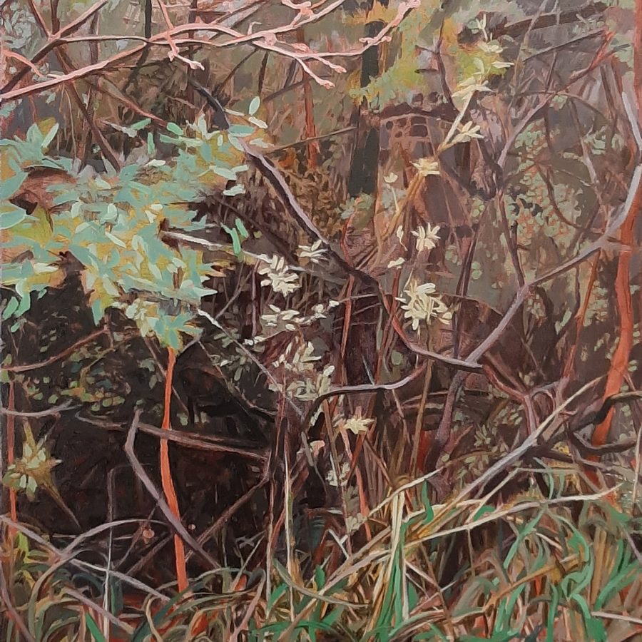 Tangle of Branches (Cootes Paradise), 24”x24”, oil on canvas