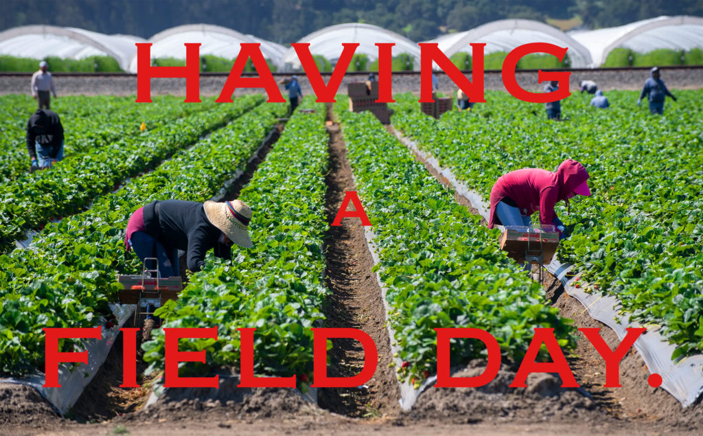 Agricultural workers bent over in a field, superimposed with all-caps red words spelling 