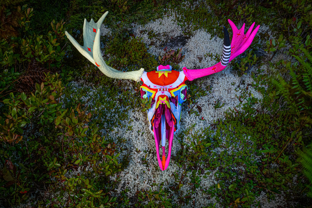 A brightly painted moose skull the ground with plants