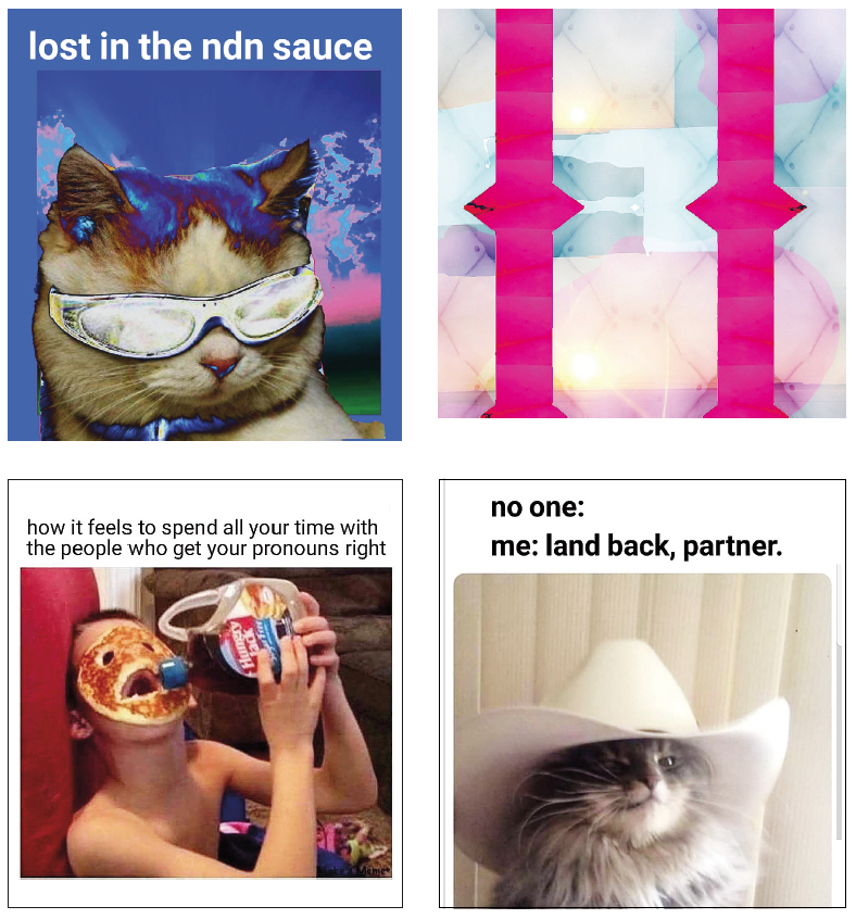 Clockwise from top left: Fallon Simard, <em>Lost In The Sauce</em>, 2019; <em>Top Surgery 2</em>, 2019; <em>Land Back</em>, 2020; <em>Pronouns Are Mandatory</em>, 2019. Memes.