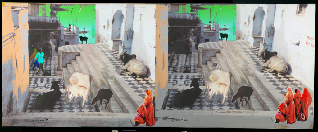 A double image of a tiled courtyard with women in red saris, along with cattle brown and white